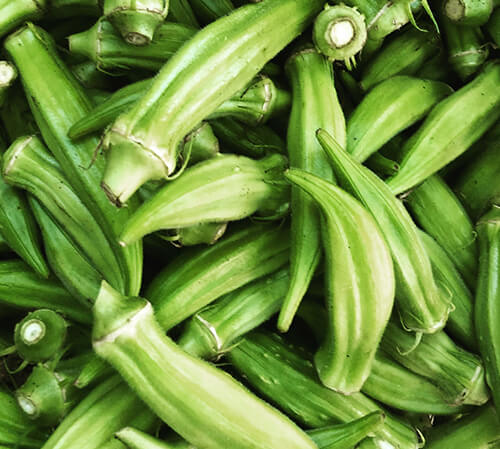 Okra Extract