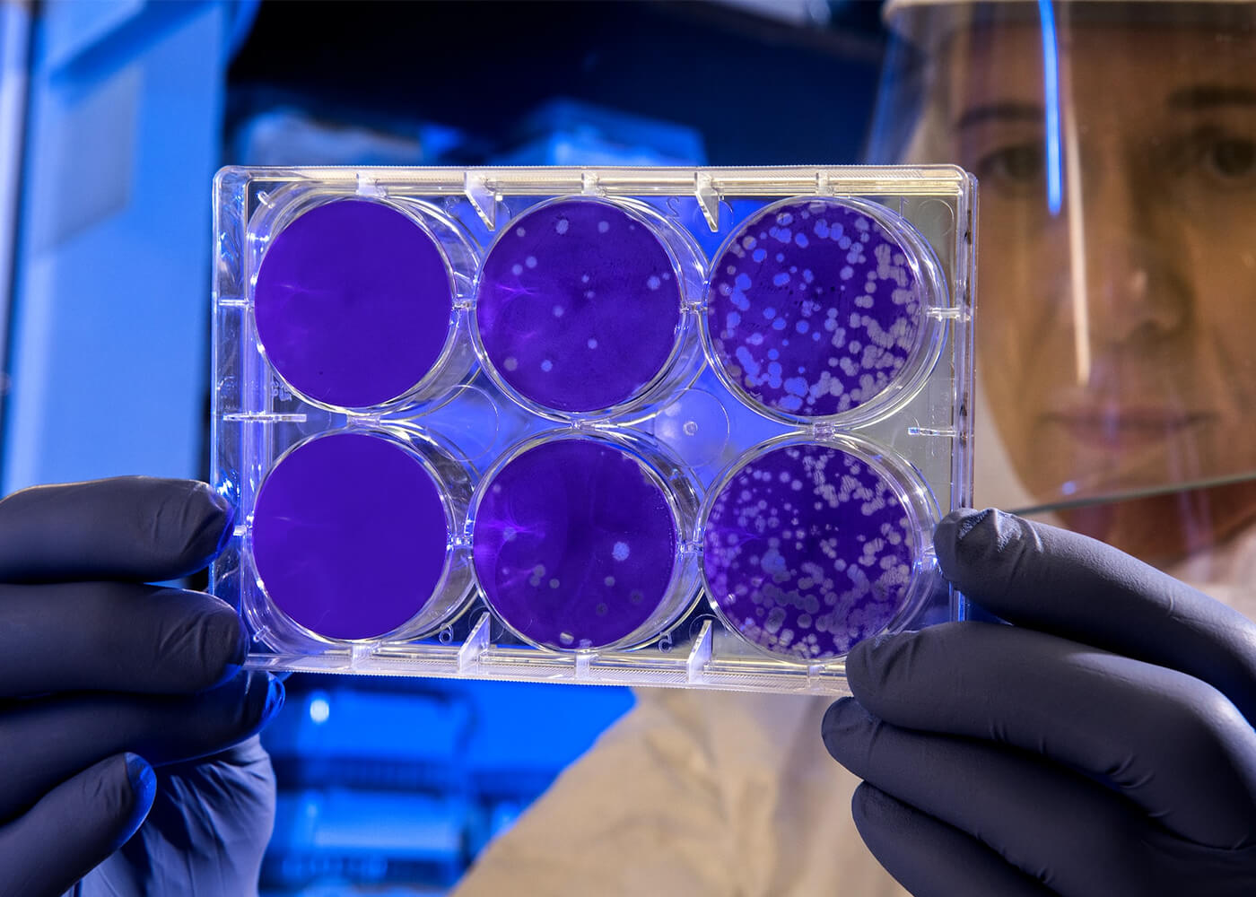 ATP & Energy: Understanding the Relationship Within your Cells - IMPERIUM GRP SDN BHD
