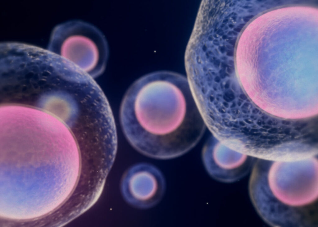 How mitochondria affect ageing | IMPERIUM GRP SDN BHD